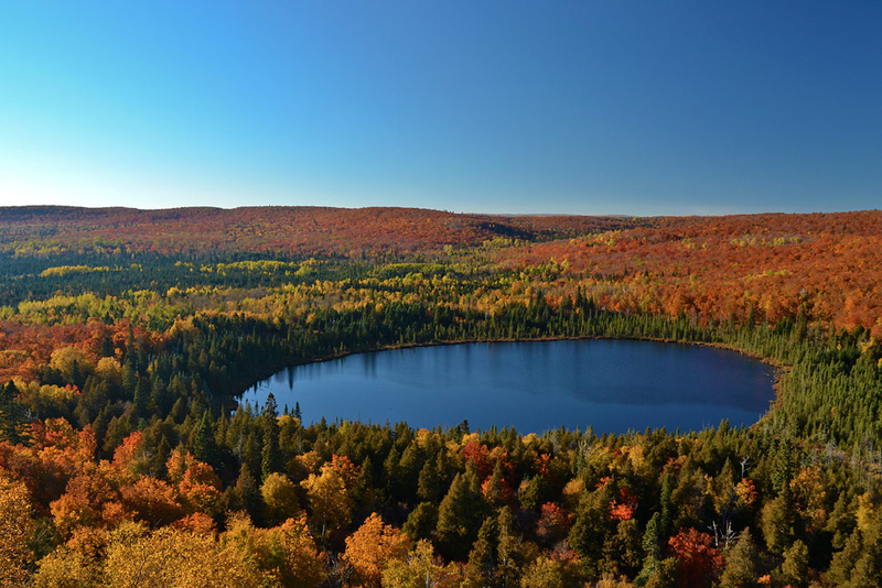 Illustration for article titled 100 Gorgeous Photos Of Fall Leaves